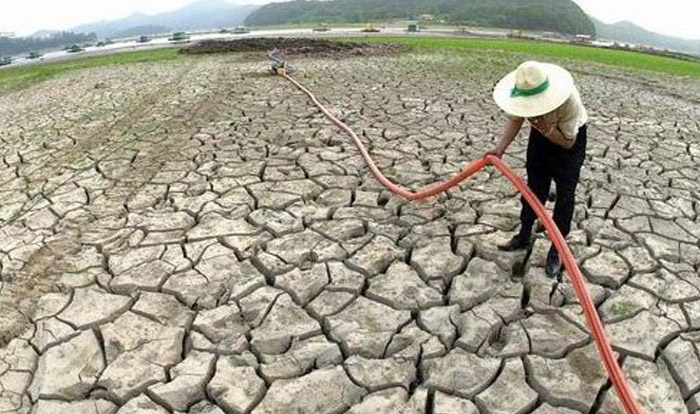 극심한 가뭄까지…농작물 피해 극복 방법 제시