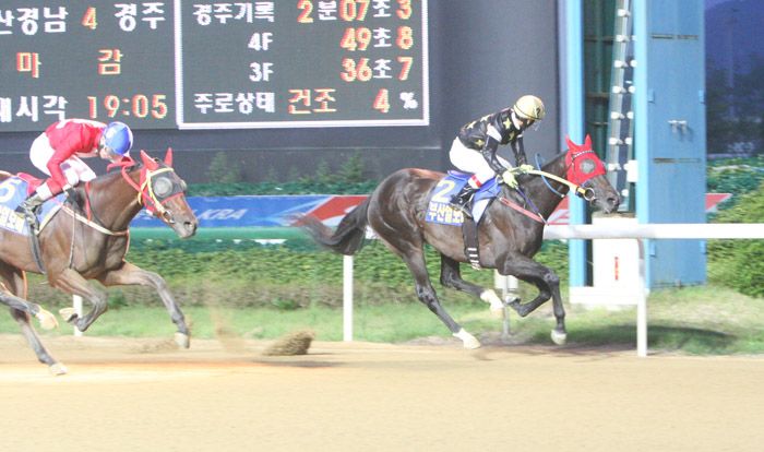 국내 최초 경마 미디어데이 개최… 소통창구 열리나