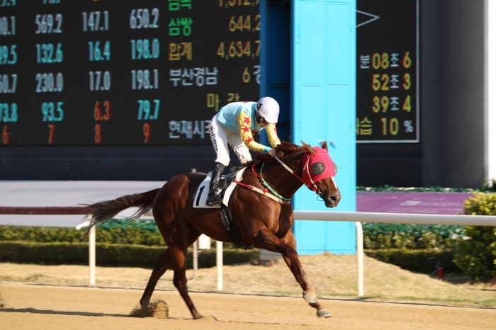 사진제공 =  한국마사회, 2019 고쿠라경마장 교류기념경주 우승마 `월드데이`의 경주장면