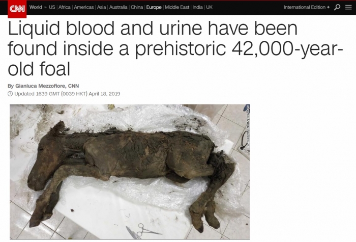 CNN은 4만 2,000년 전 시베리아 베르호얀스크 지역에서 죽은 망아지 모양의 냉동 사체 안에서 액체 혈액과 소변을 채취하는 데 성공했다고 보도했다(사진 제공= CNN 홈페이지 갈무리).