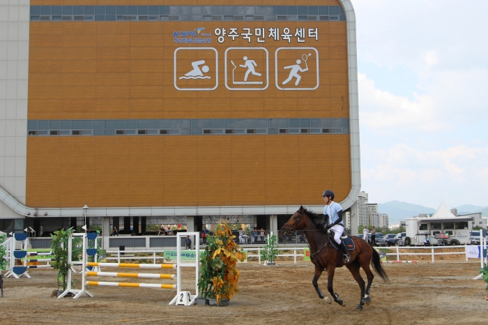 대회 2일차에는 장애물(국산마) 40·60·100cm 경기가 열렸다. ⓒ말산업저널 안치호