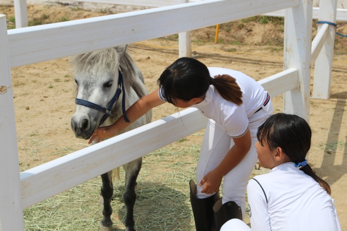말 포토존에서 말을 만지고 먹이를 줄 수 있는 체험행사를 열었다. ⓒ말산업저널 안치호