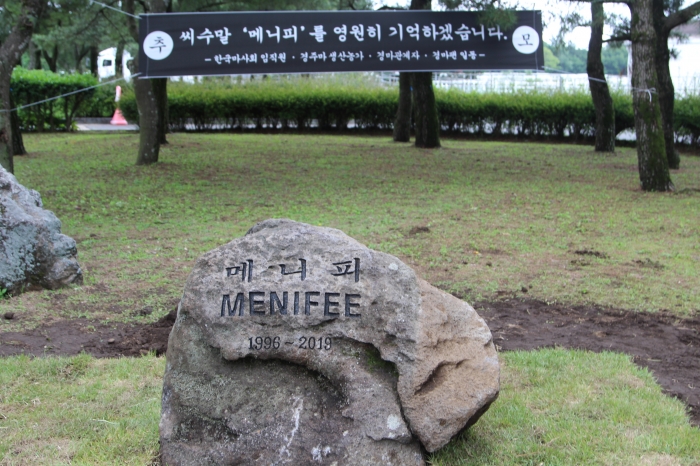 ‘메니피’의 묘비는 마혼비에 함께 묻힌 다른 말들의 묘비보다 훨씬 크다. 그만큼 한국경마 최고의 씨수말인 ‘메니피’의 역할과 공로를 인정해준 것으로 보인다. ⓒ말산업저널 안치호