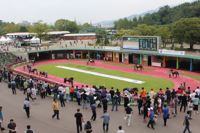 한국마사회는 렛츠런파크 서울에서 9월 8일 7경주 코리아 스프린트와 8경주 코리아컵 경마대회를 개최한다. ⓒ말산업저널 안치호