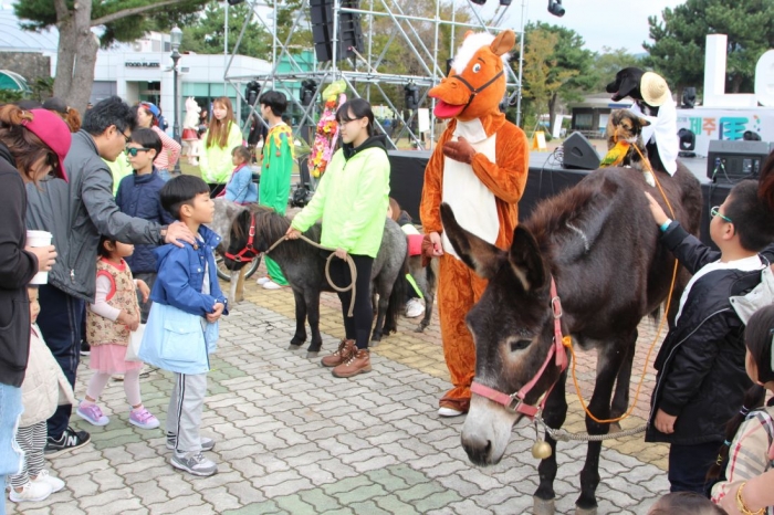 제주특별자치도와 한국마사회는 10월 ‘제주 말(馬) 문화 관광의 달’을 맞아 말 관련 축제를 개최한다. 사진은 지난해 렛츠런파크 제주에서 열린 제주마축제 모습. ⓒ말산업저널 안치호