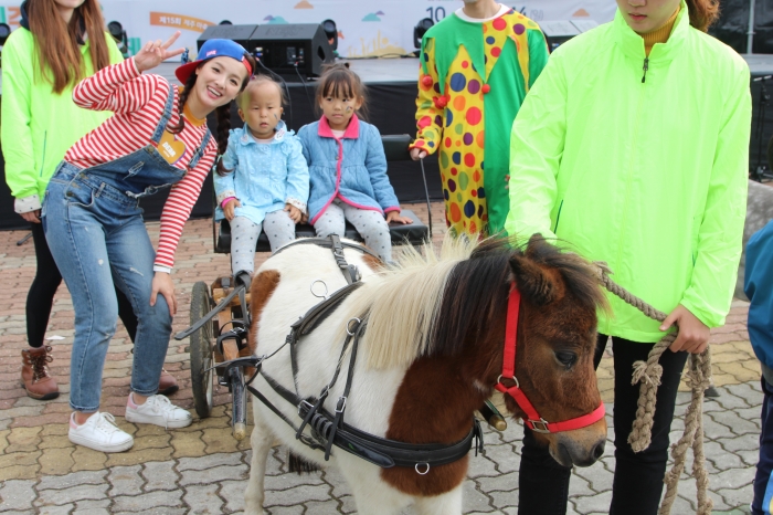제주 지역에서도 가장 오랜 전통을 자랑하는 대표적인 말 테마 축제, 제주마축제는 말의 모든 것을 직접 보고 참여할 수 있다.