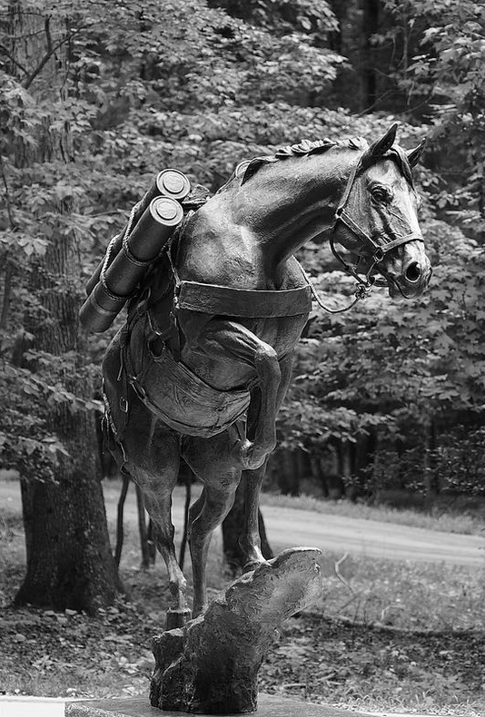 세계 100대 영웅으로 손꼽혔던 경주마 출신 군마(軍馬) ‘레클리스.’
