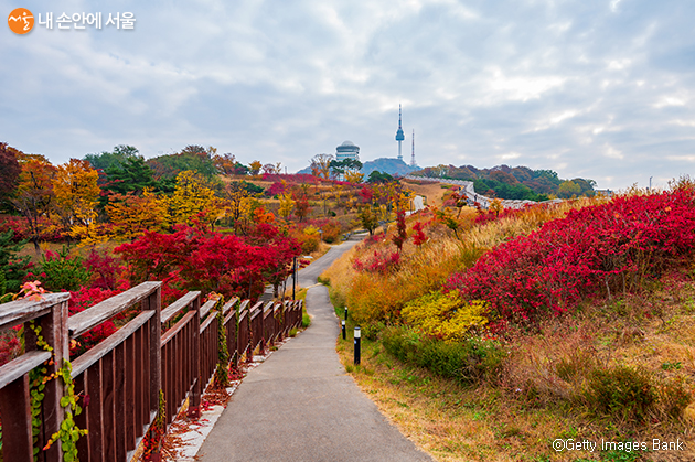 가을이 절정인 10월의 마지막 주말을 서울의 가을 나들이 3대 명소에서 즐겨보자.